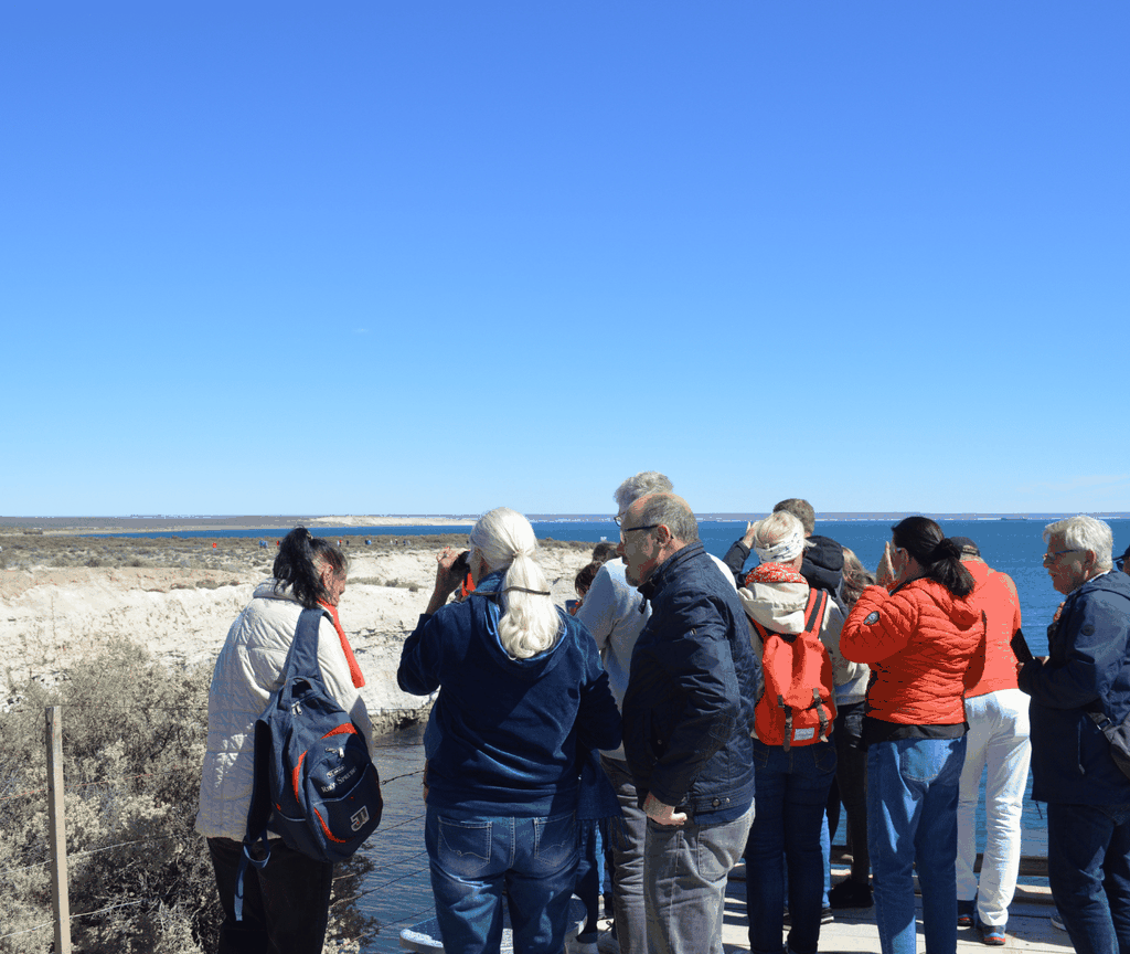 Puerto Madryn: Punta Loma Landausflug