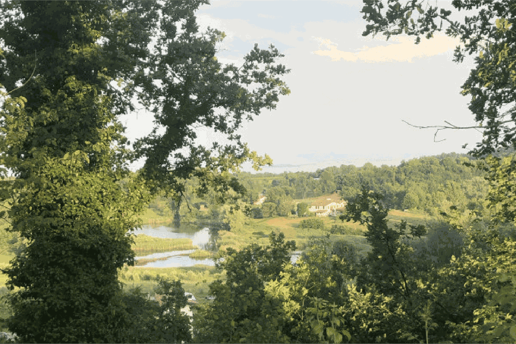 Valtenesi: Weinprobe mit Blick auf den Gardasee