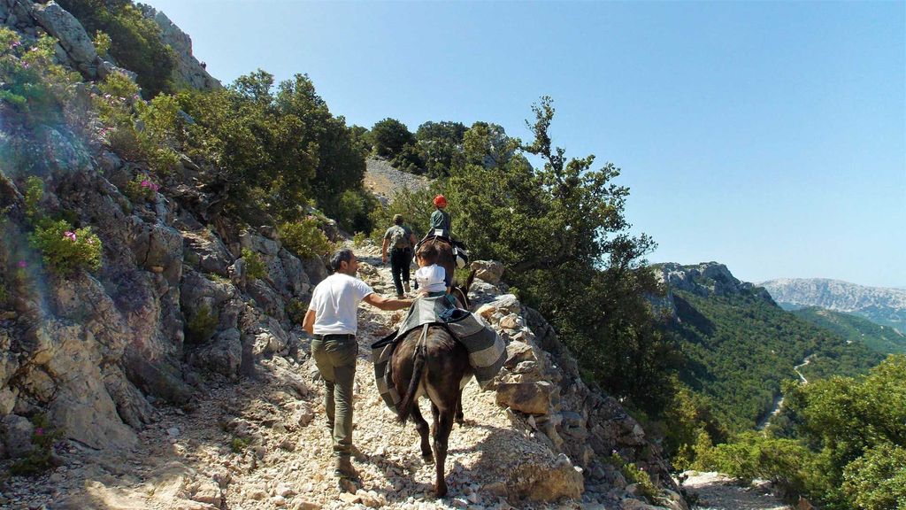 Eselwanderung im Suttaterra-Wald von Dorgali aus