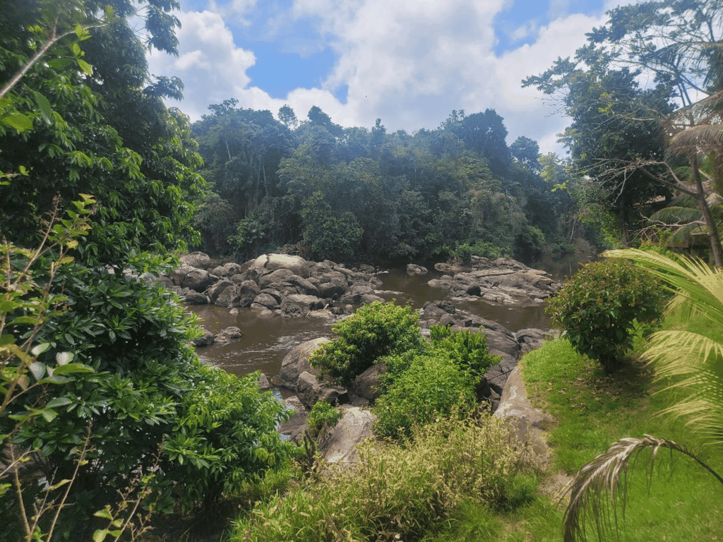 3 Tage Tour Amazonas Suriname Inland All inclusive Dorf