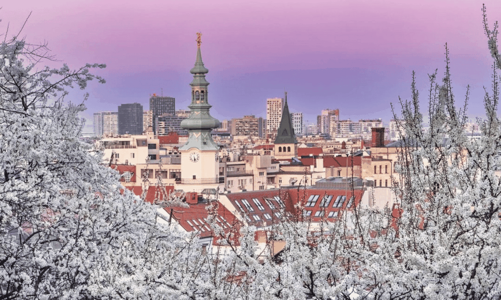 Hauptstadt-Rush: Bratislava & Budapest mit Abholung