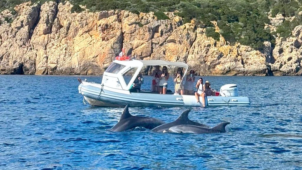 Von Olbia aus: RIB-Tour zum Capo Figari mit Delphin-Sichtung
