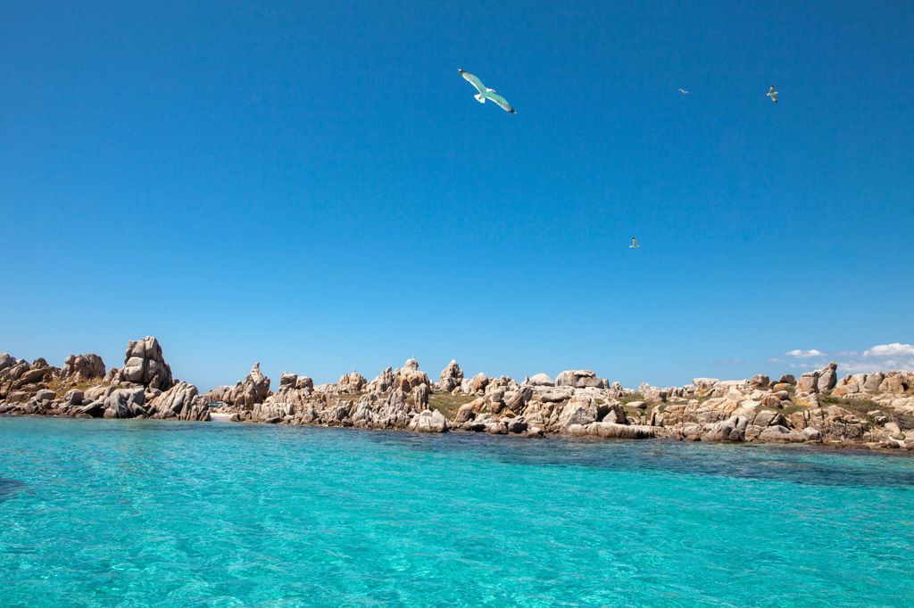 Ab Santa Teresa Gallura: Bootstour nach Korsika und Bonifacio