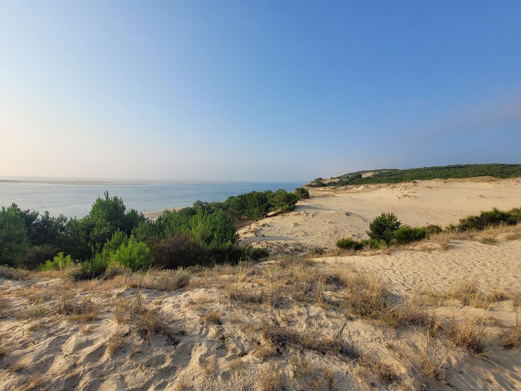 Von Bordeaux aus: Dune du Pilat, Bucht von Arcachon und Austernviertel – Private Tour