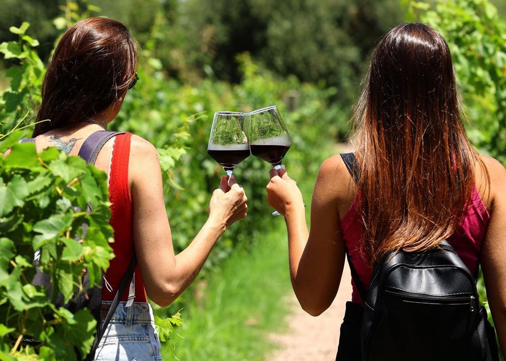 In Mendoza: Weintouren, Empanadas und Olivenöl