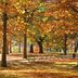 Boston Public Garden im Herbst
