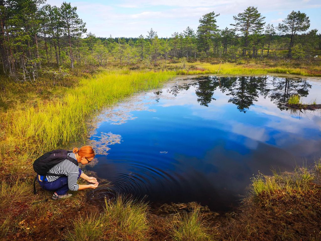 Von Tallinn: Tagestour zum Lahemaa-Nationalpark