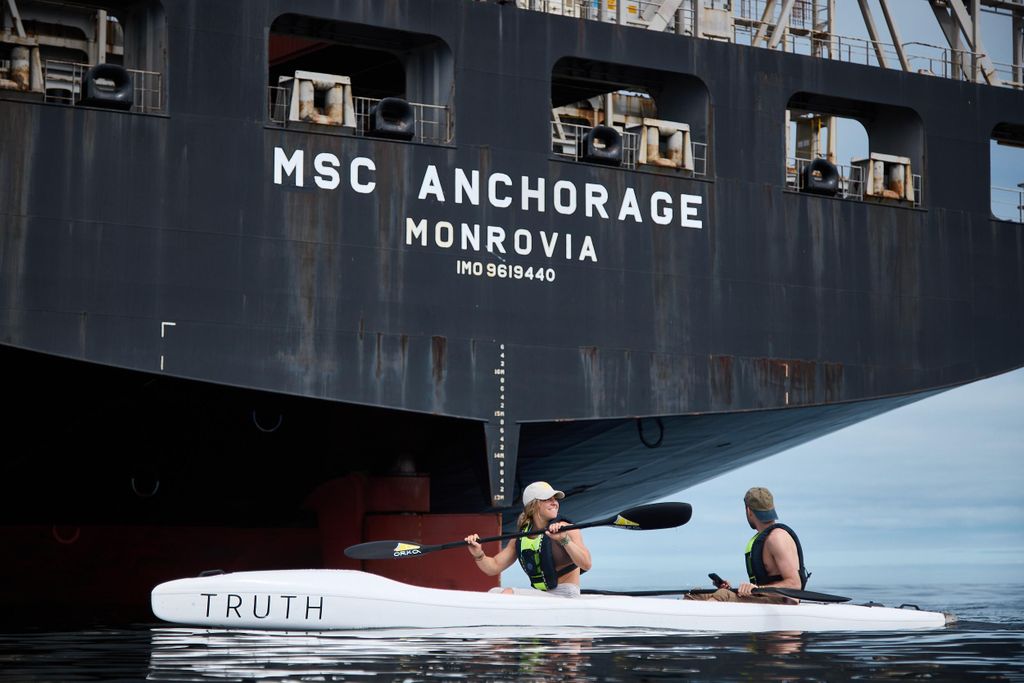 Kapstadt: Kajakabenteuer mit Delfinen und Meerestieren ⚓️