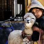 Peruanischer Junge mit Lama