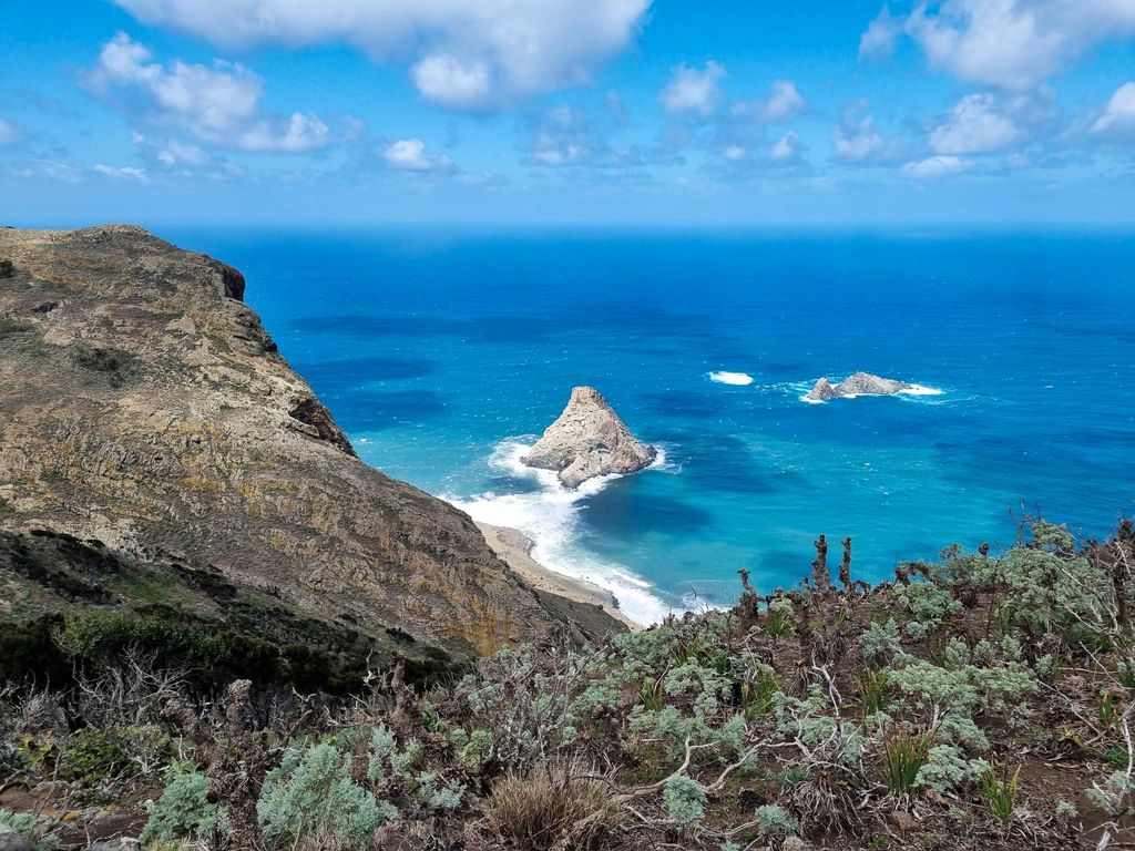 Teneriffa: Panorama-Wanderung im Lorbeerwald mit lokalem Essen