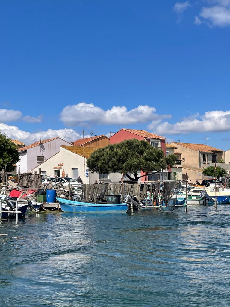 Montpellier: Halbtagesausflug zu Fuß in Sète und Austern