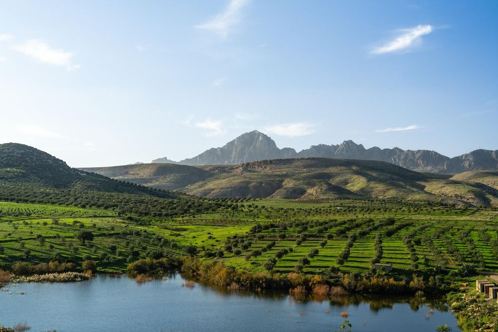 Von Mahdia aus: Ein Tag in Zaghouan zwischen Archäologie und Abenteuer