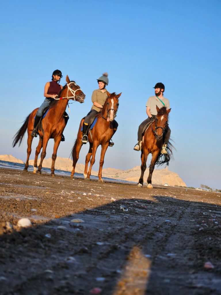 Reiten im Oman