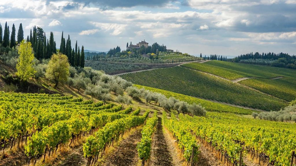 Von Bari aus: 2 Tage im Chianti, in San Gimignano und in Siena mit Weinverkostung