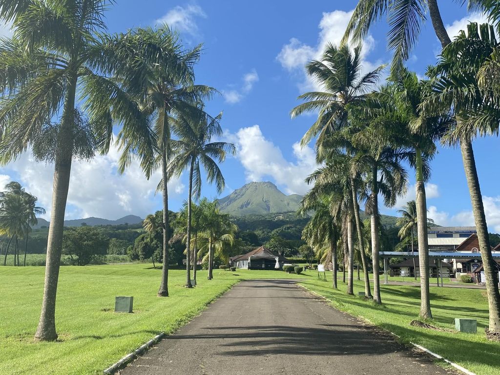 Martinique: Geführte Tour durch den grünen Norden von Martinique