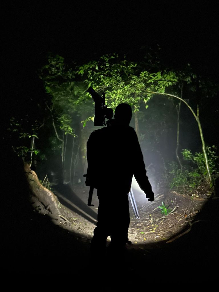 Monteverde: Nächtliche Tour mit Nachtsichtbrille