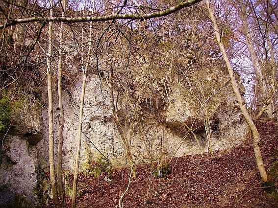 Kalksteinfels neben dem Wasserfall, auf der, der Ortschaft Ahütte zugewandten Seite.