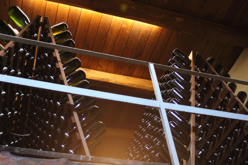 Weintour & Verkostung von 6 Weinen – Le Macchie, in der Nähe von Rom