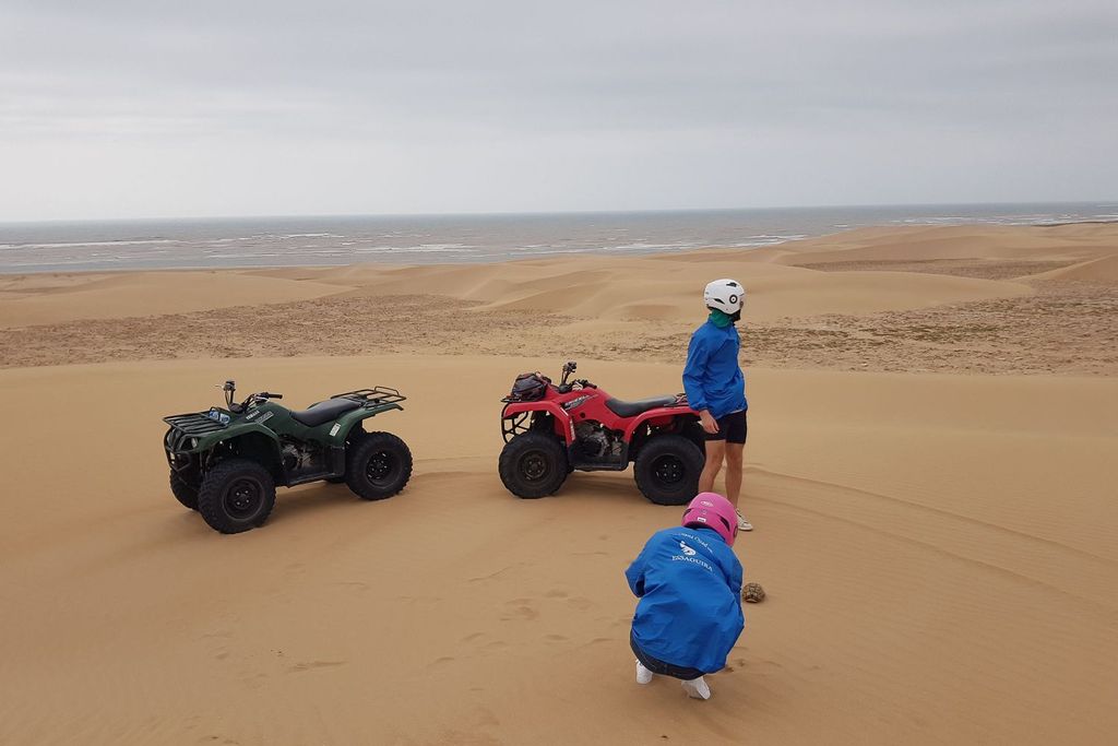 Essaouira P3: Quad-Tour Wald Strand Dünen (kostenloser Transfer)