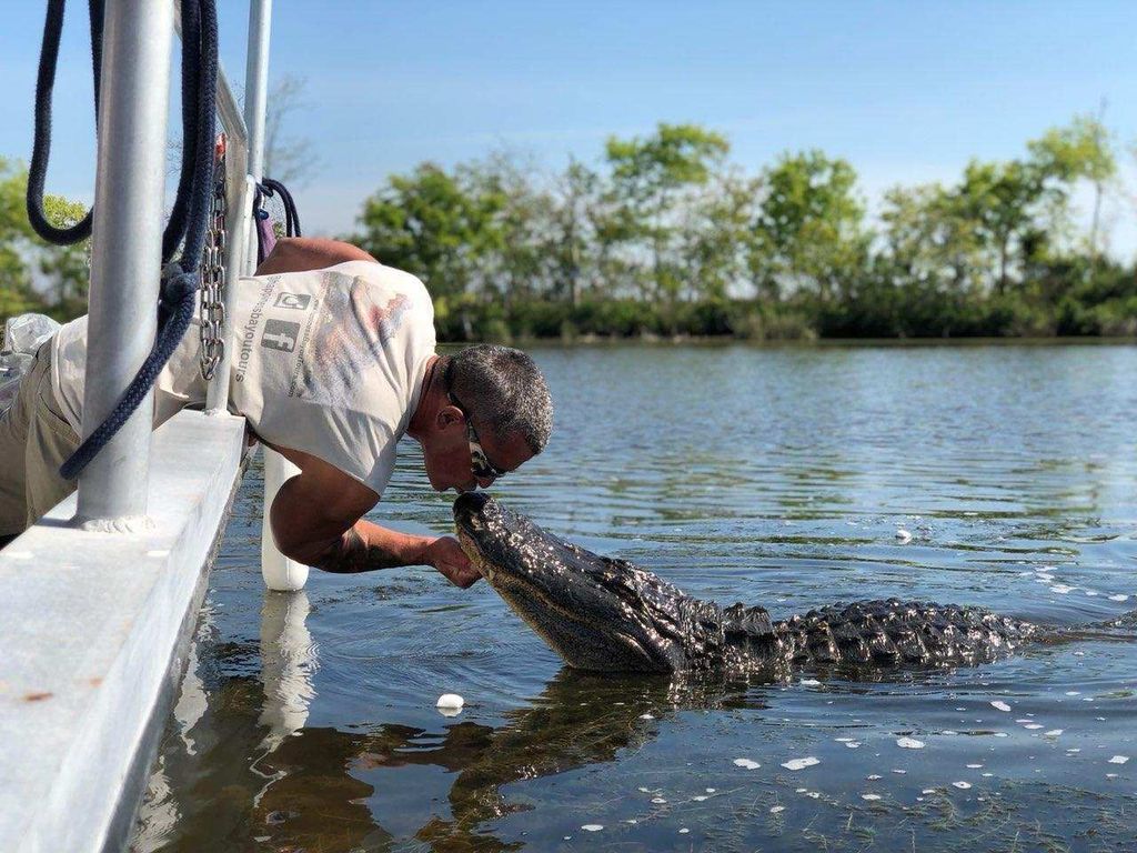Bootstour durch die Louisiana Bayous bei New Orleans
