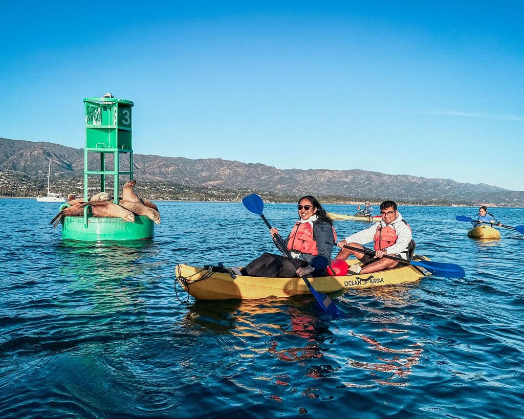 Hafen von Santa Barbara: Wildlife Kayak Tour (2 Stunden)