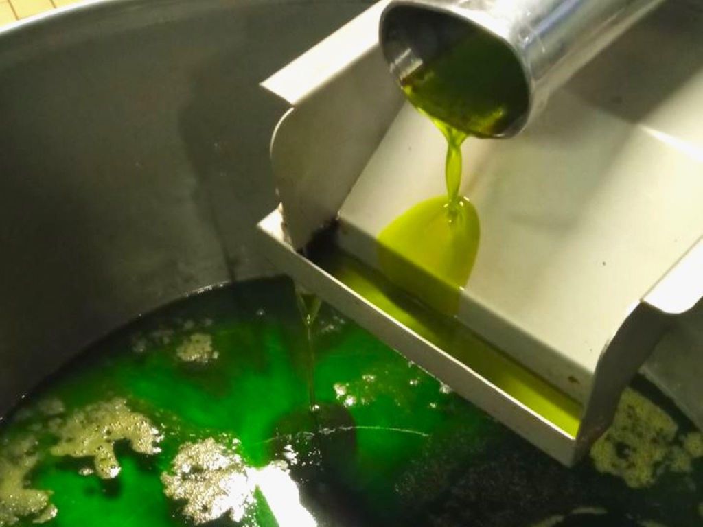 Ascoli Piceno: Olivenölverkostung mit lokalen Produkten