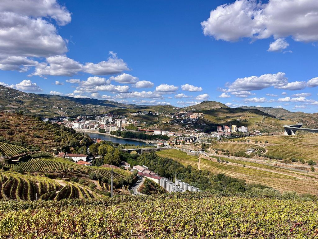 Peso da Régua: Casa da Formiga Wein- & Olivenölverkostung