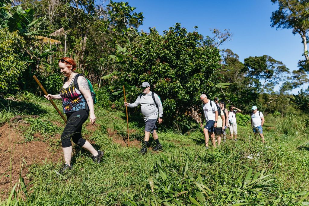 Maui: Geführte Regenwald-Wasserfall-Wanderung mit Picknick-Mittagessen