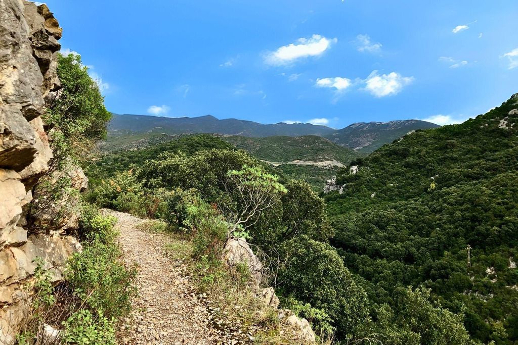 Iglesias: Trekking im Marganai-Wald in Domusnovas