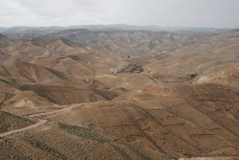 Ab Tel Aviv: Totes Meer & Wüstensafari