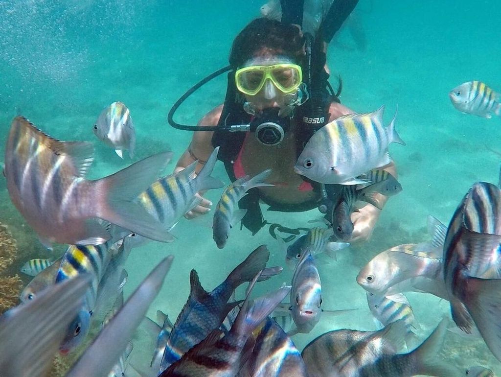 MARAGOGI: TRANSPORT + KATAMARAN (NATURPOOLS) AB MACEIÓ