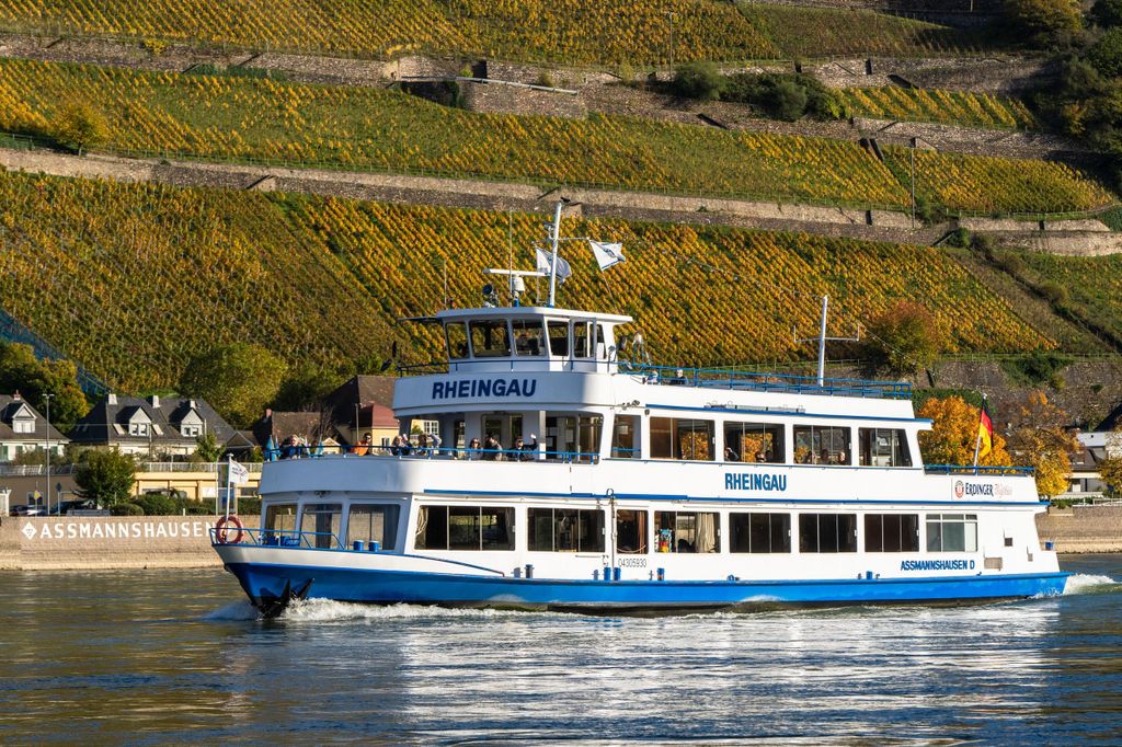 Schlösser im Rheintal: 1,5-stündige Bootstour ab Rüdesheim