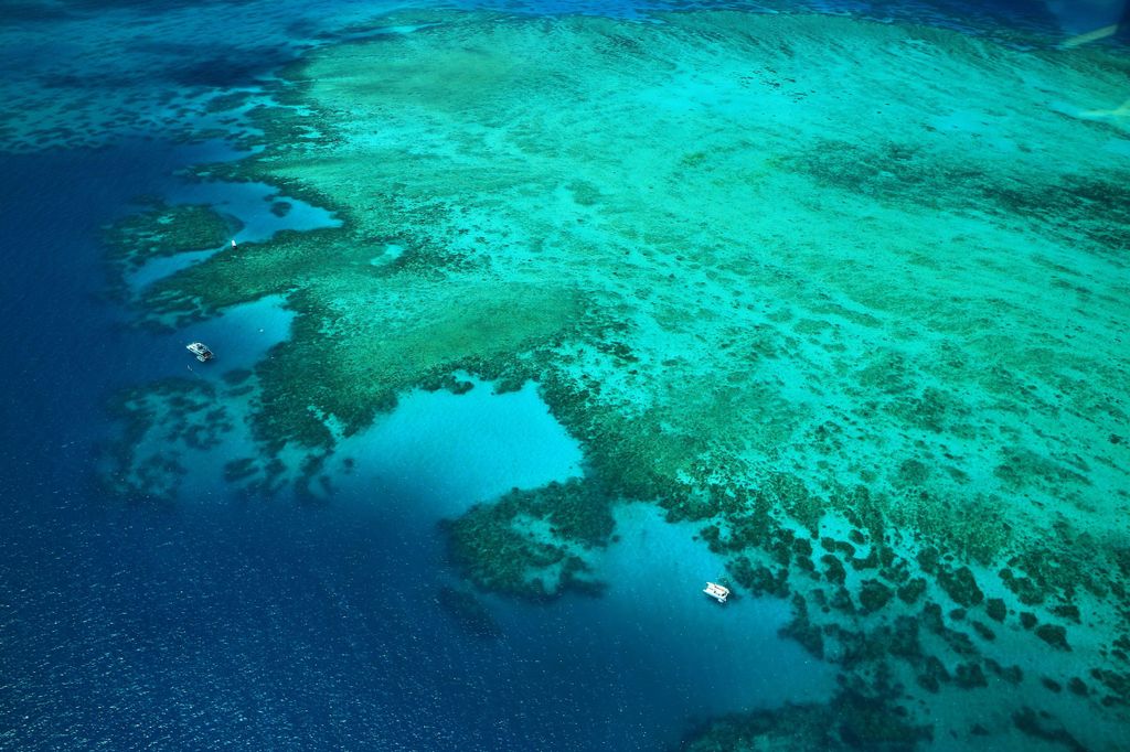 Cairns: Rundflug über die Außenkanten des Great Barrier Reefs