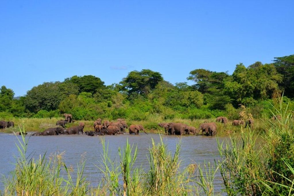 Richards Bay: Ausflug zum Hluhluwe Imfolozi Park