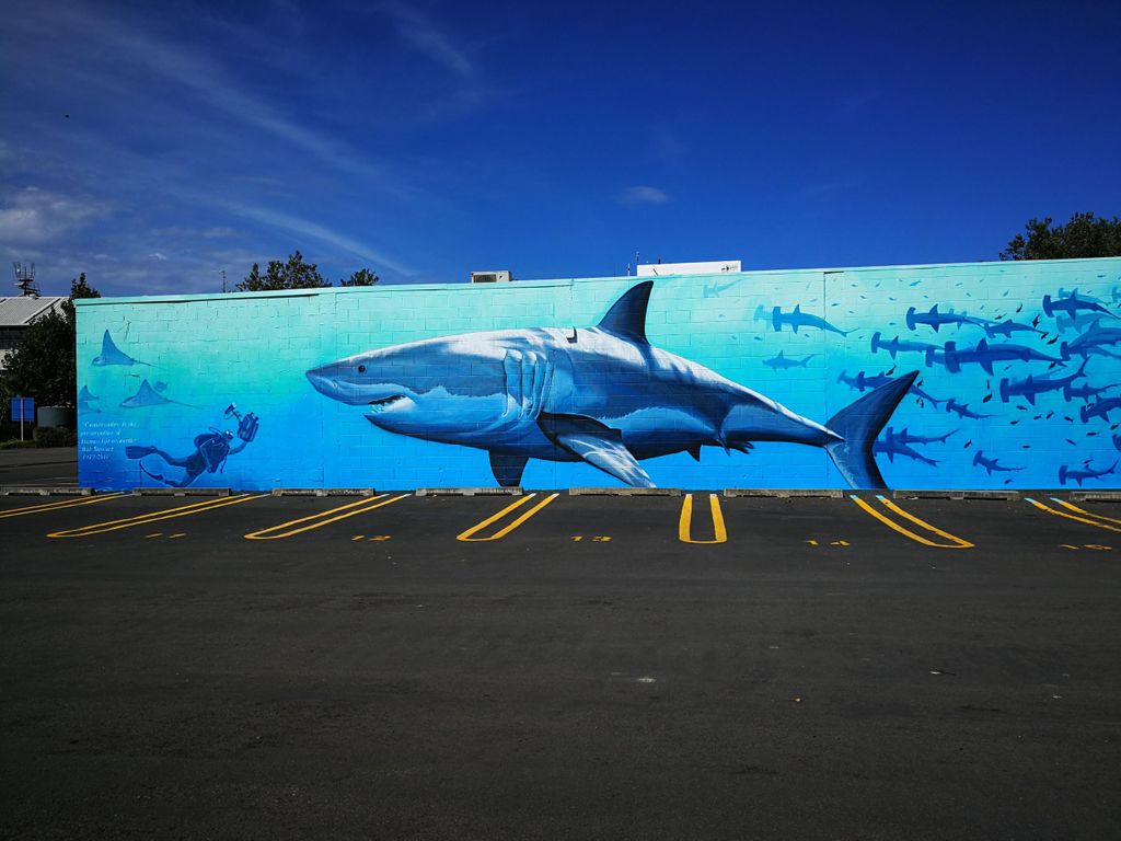 Napier: Landausflug mit Weinprobe und Platte