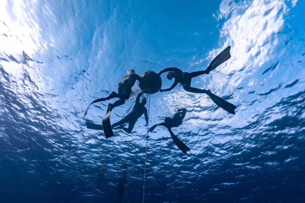 Puerto del Carmen: AIDA Freedive Level 2 Kurs