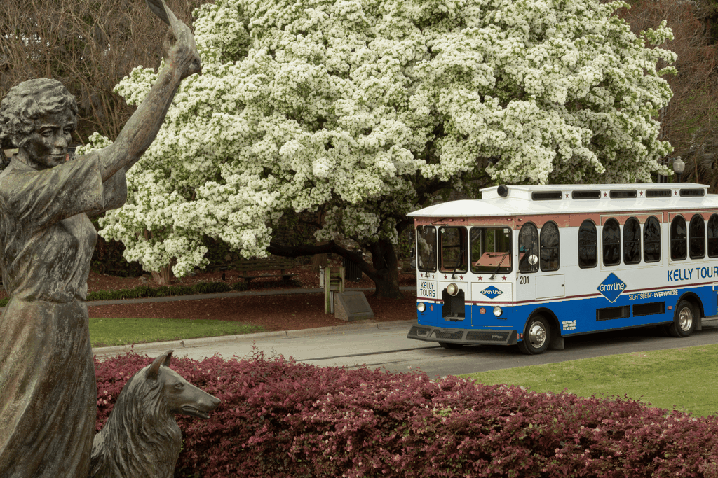 Savannah: 1,5-stündige geführte Trolley-Tour mit Shuttle-Service