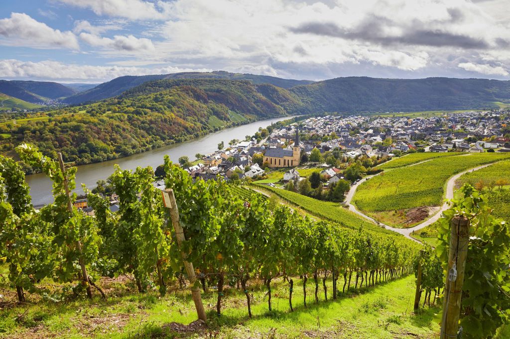 Traben-Trarbach / Bernkastel-Kues, Mosel: Weinerlebniswanderung