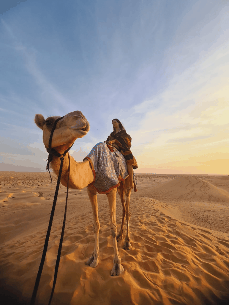 Salalah: Übernachtung im Beduinenzelt in der Wüste + Safari bei Sonnenuntergang