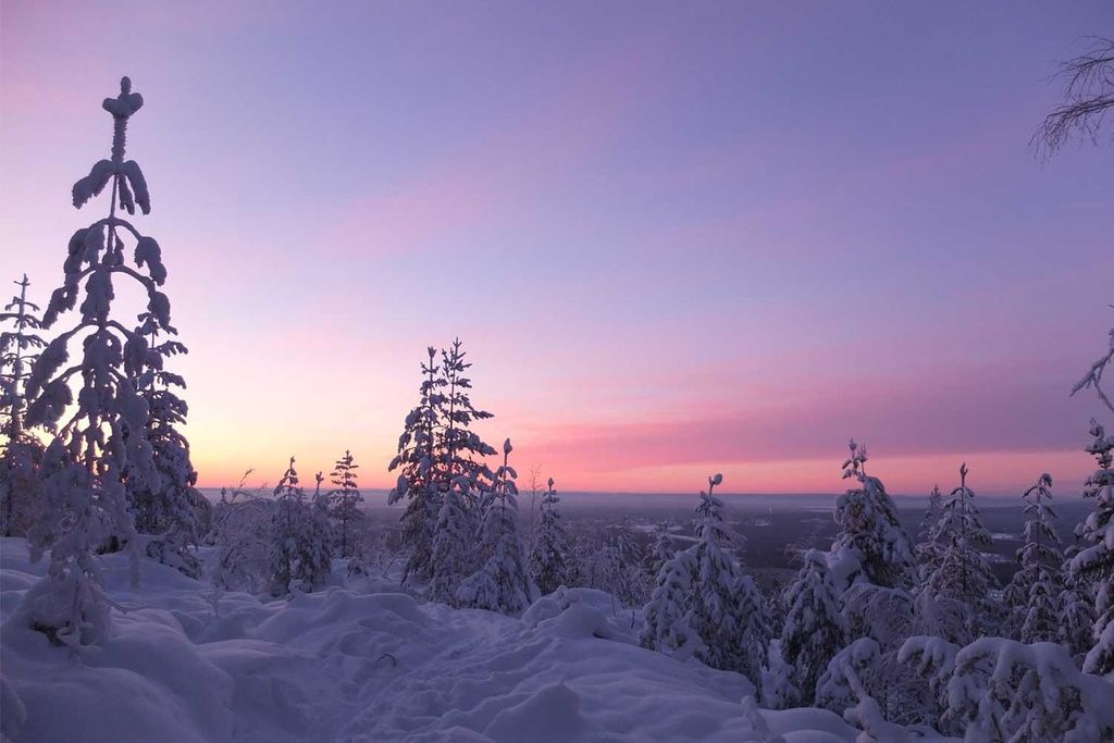 Luleå: Schneeschuhwandern in unberührter Natur mit einem erfahrenen Guide!