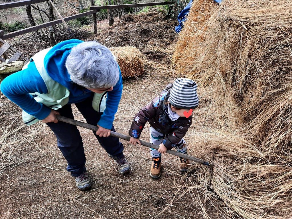Arezzo: Besuch eines Bergbauernhofs auf der Alpe di Poti