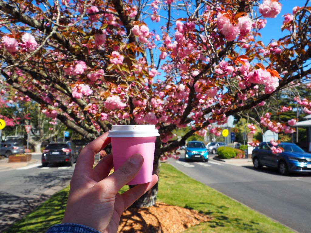 Roos, Blues & Views – Blue Mountains-Tagestour mit Mittagessen