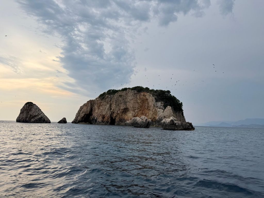 Ulcinj: Bootstour auf der Adria mit Fischpicknick