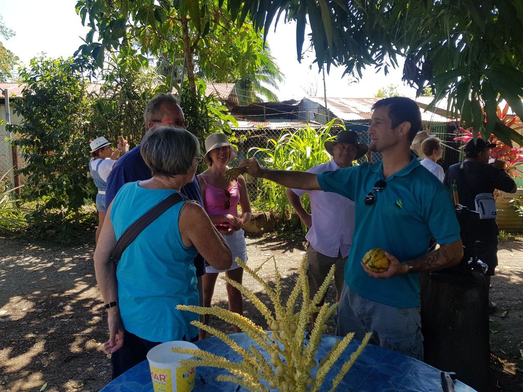 Puerto Limon: Halbtagestour durch die Tortuguero-Kanäle und Playa Bonita