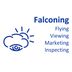 Falconing Logo