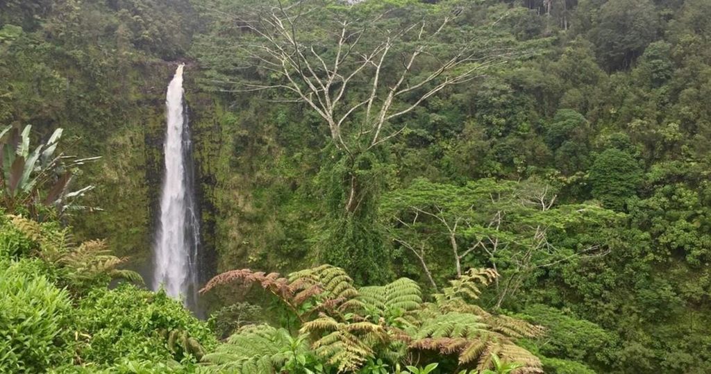 Kona: Big Island Big Volcano Adventure