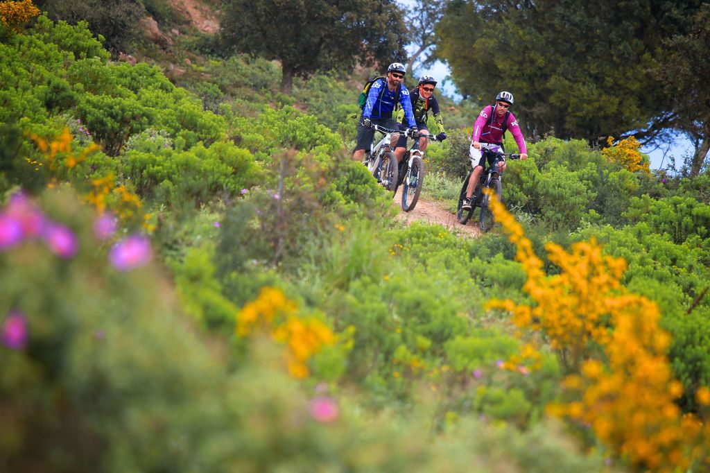 Ramatuelle: Tracks & Tasting Winery Tour mit dem Mountain E-Bike