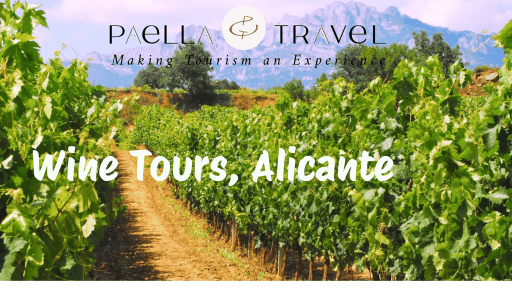 Alicante; Weintour Bodegas Vinos, Essen und Transfer inklusive