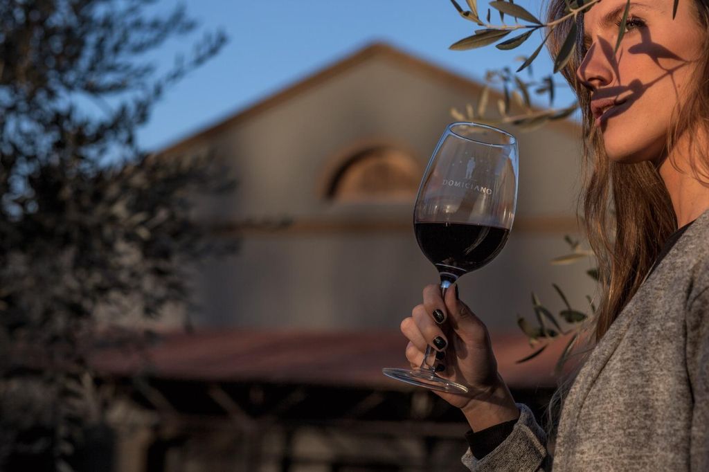 Maipú Express: Nachmittag mit 3 kontrastierenden Weingütern und Olivenverkostung