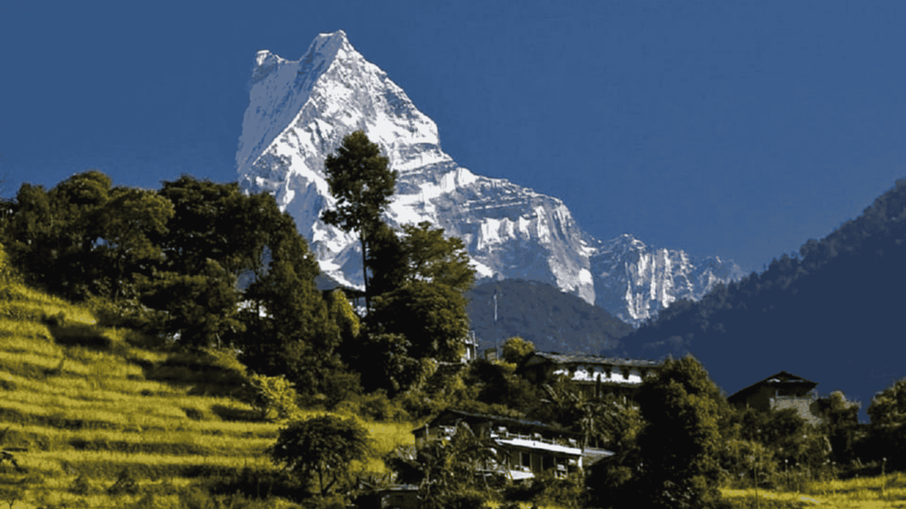 Tageswanderung von Dhampus zum Australian Camp mit Mittagessen